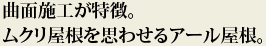 曲面施工が特徴。ムクリ屋根を思わせるアール屋根。