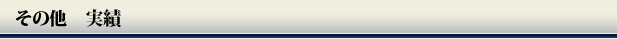 その他実績